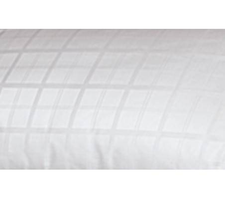 Mash Quality Allerban Pillow