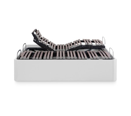 Infinity Nessen Electric Ottoman Adjustable Bed
