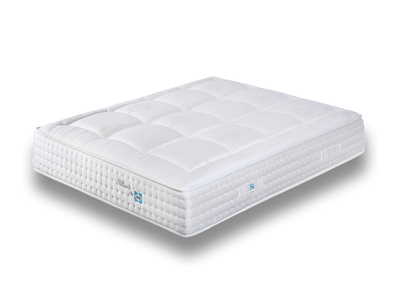 Sealy Illinois New Mattress