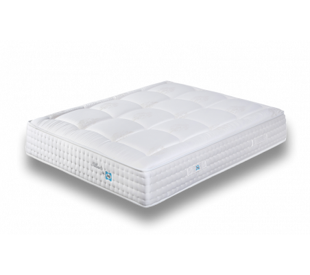 Sealy Illinois New Mattress